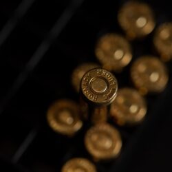 Поліцейські Рівненщини вилучили за добу майже 100 патронів та дві тротилові шашки